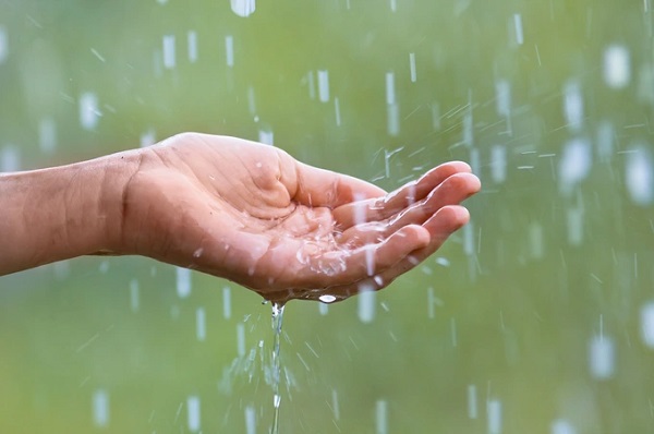 Trong nước mưa có gì? Có gây hại đến sức khoẻ người sử dụng? Cần lưu ý trước khi sử dụng nước mưa